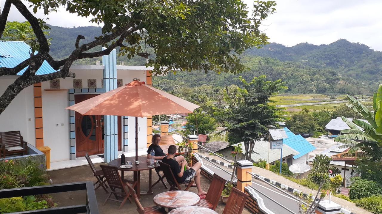 Bintang Bungalow Tour & Travel Kelimutu Exteriör bild